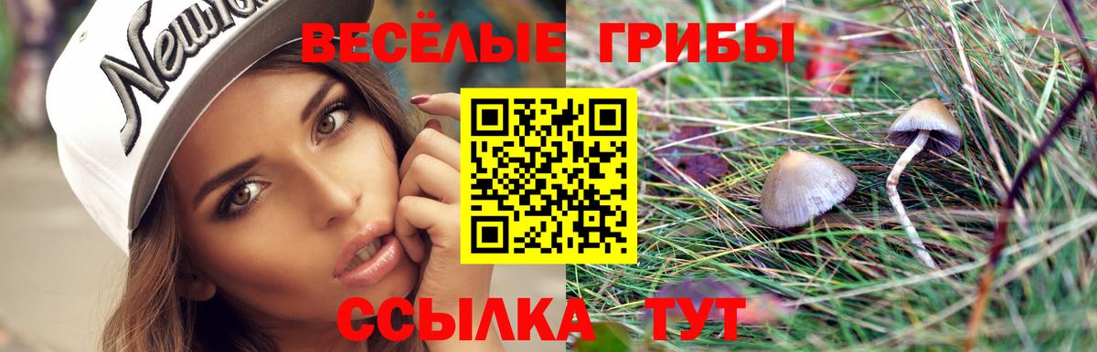 Кинель  Галлюциногенные грибы ЛСД  наркота  Вход с VPN 